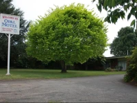 Opal Motel 3*