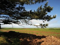 Fields Lodge Bed & Breakfast 4*