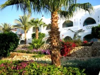 Domina Coral Bay El Sultan 5*