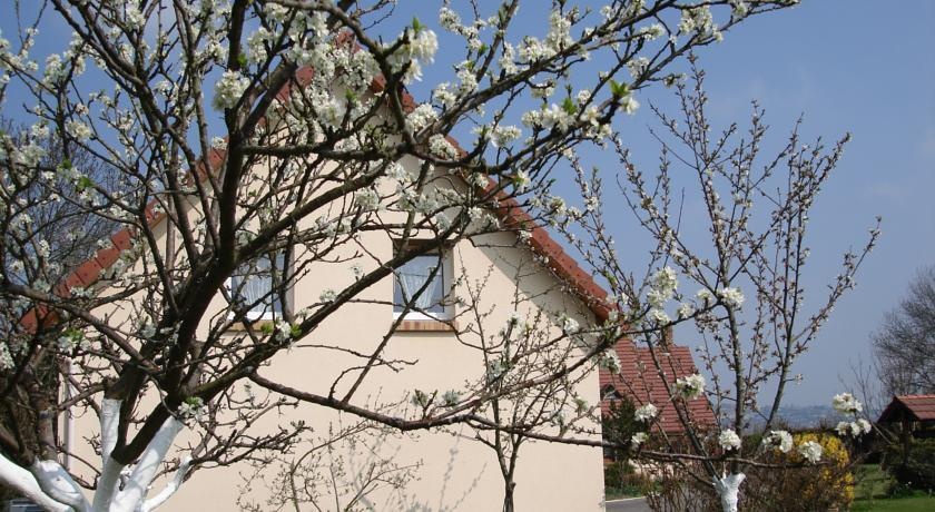 Chambres dHotes Entre Seine et Jardin 