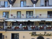 Hotel Moselschild 3*