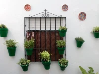 Hospederia Luis de Gongora 2*