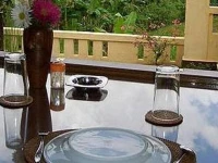 Green Villa 