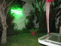 Las Palmeras Inn 3*