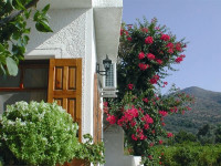 Pelagia Apartments