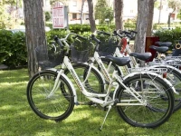 Hotel Friuli 3*
