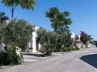 Splendour Resort 5*