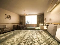 Parklane Motel 3*