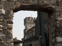 Hotel degli Oleandri 3*