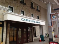 Country Hotel Niigata 4*