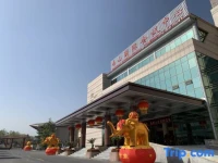 Nanshan International Conference Center Hotel 5*