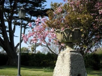 Trelawne Hotel 3*
