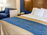 Comfort Inn & Suites Statesboro 2*