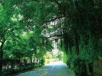 City Hotel Xiamen 4*