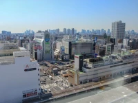 Lotte city hotel Kinshicho 4*
