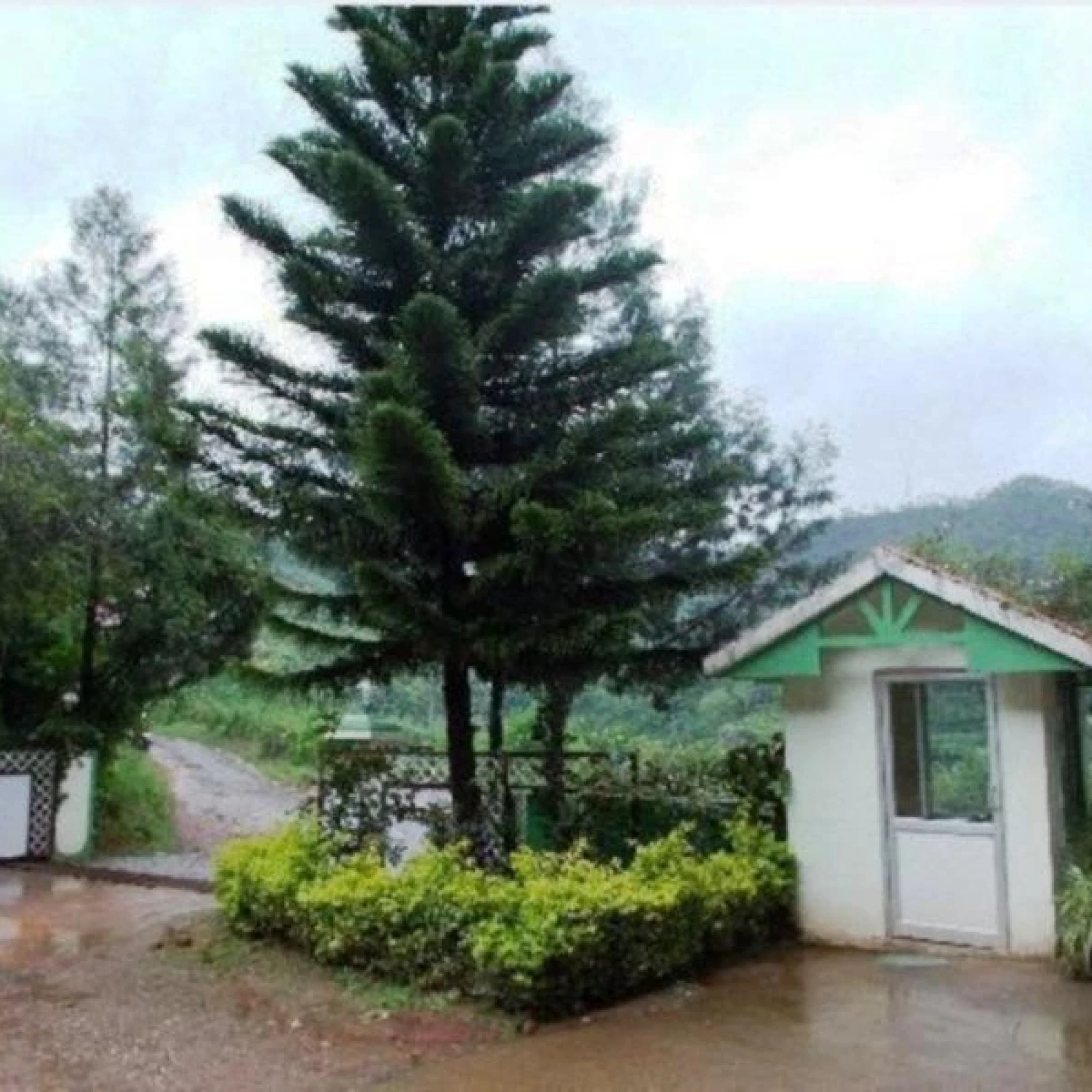 Poopada Resorts 3*