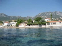 Ergin 