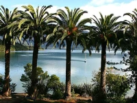 Te Mahia Bay Resort 3*