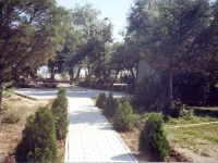 Zolotoy bereg / Золотий берег 
