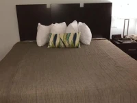 Ocean Plaza Motel 2*