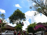 Arlinas Bungalow 