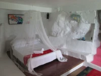 Monkey House 2*