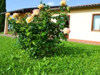 Le Corti di Montepitti 4*
