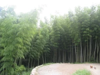 Hotel Shikinokura 3*