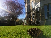 Applewood Hotel 2*