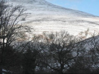 Plas Derwen