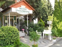 Hotel Froschkonig 3*