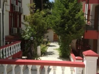 Palmiye 