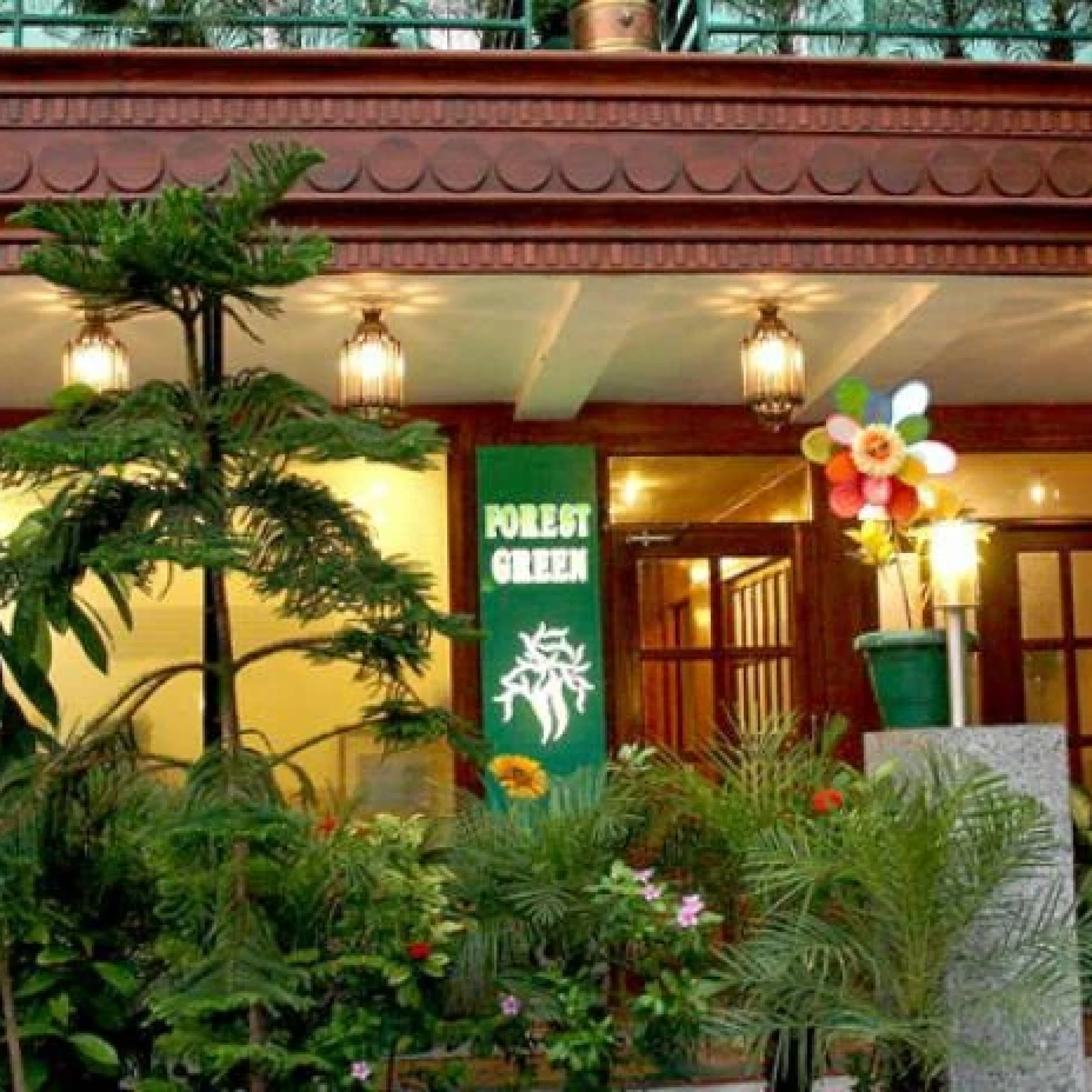 Forest Green New Delhi 3*
