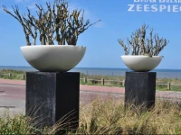 B&B Zeespiegel 3*