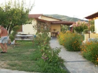 Panorea 