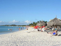 Surf Club by Marriott Aruba