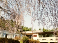 Amanohashidate Youth Hostel 2*