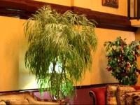 Fifth Season Inn & Suites 3*