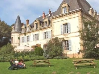 Chateau De Chigy 4*