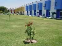 Quintinha Village 3*