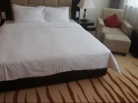 Zenith International Hotel 4*