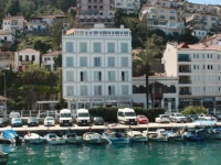 Dedeoglu 