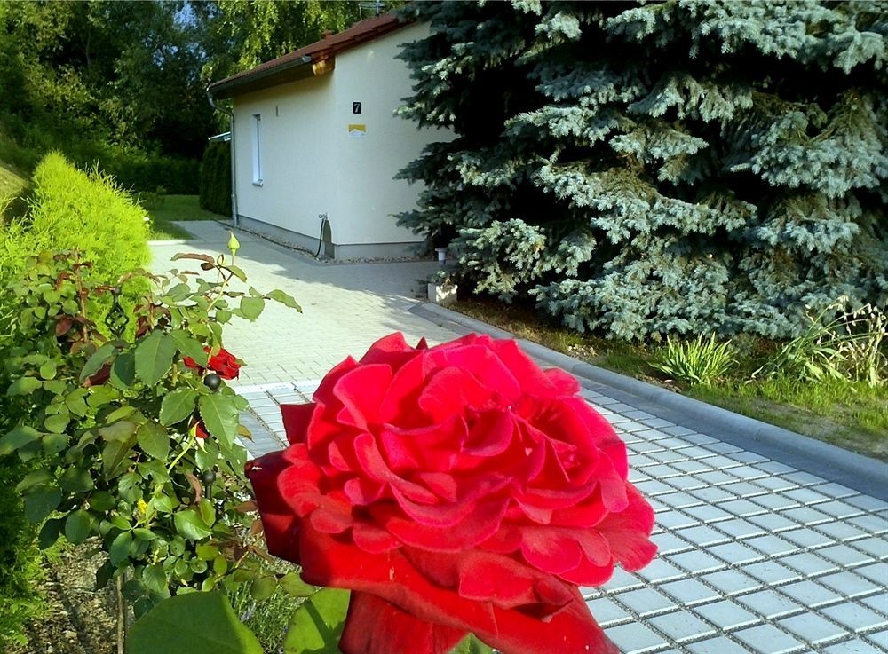 Ferienhaus Zur Blautanne 3*