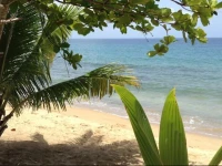 Coconut Palms Inn 3*