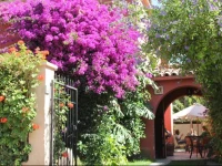 Hostal El Arbol 1*