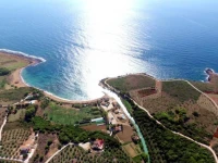 Vatsa Club 