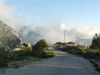 Alamut Alinka 