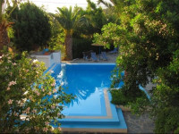 Oasis Apartments & Rooms