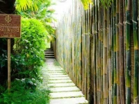 BaliWood Resort 5*