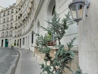 Arvor Saint Georges 3*